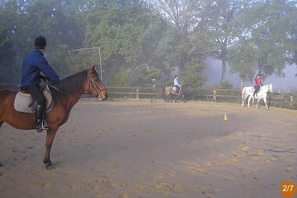equitation_001.jpg