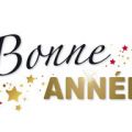bonne année 2018.jpg
