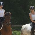 2b-dressage-gue-de-selle.jpg