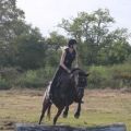 9b-derby-gue-de-selle-comp.jpg